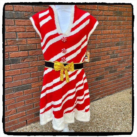 NWT Holiday Sweater Dress - Picture 1 of 3